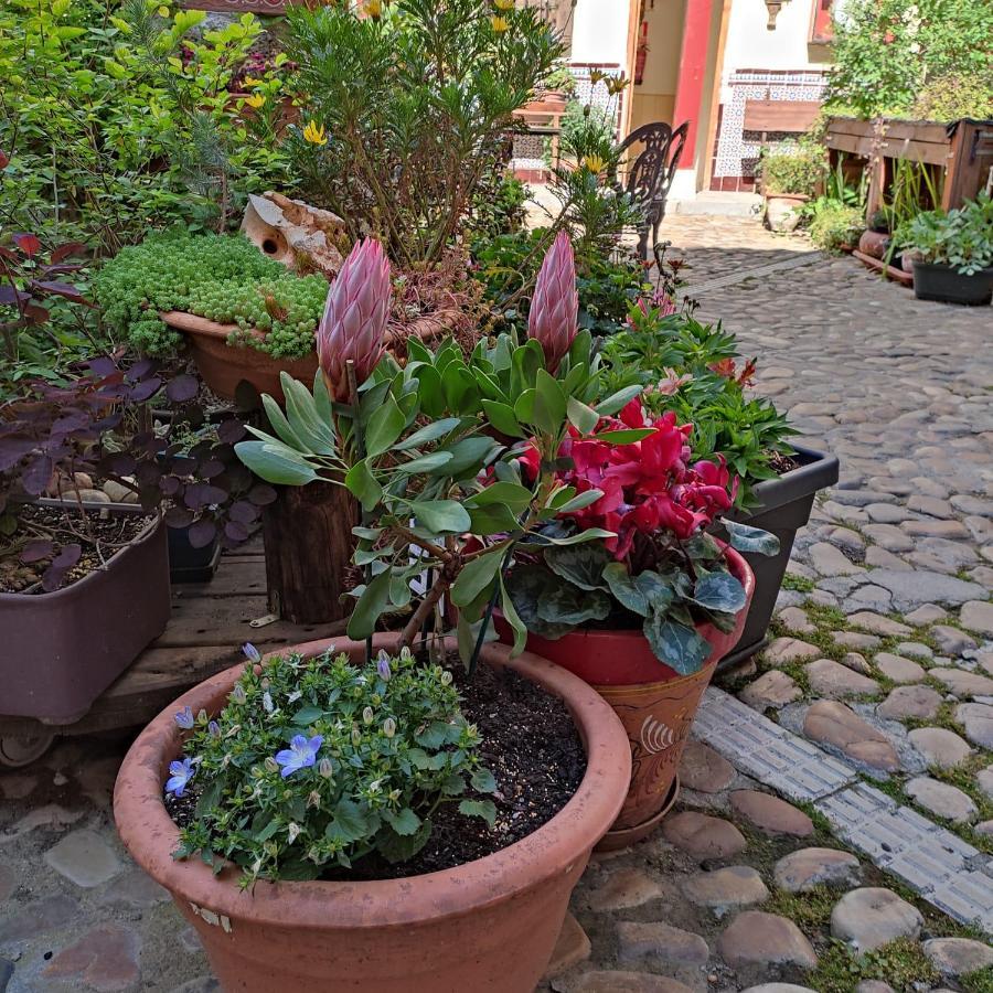 Hostal Castilla Аранхуэс Экстерьер фото